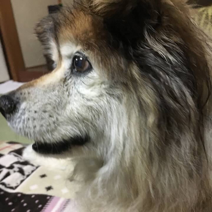 65fda546 a0a9 4efb aa3b eaf5e6661d25 1593945584831