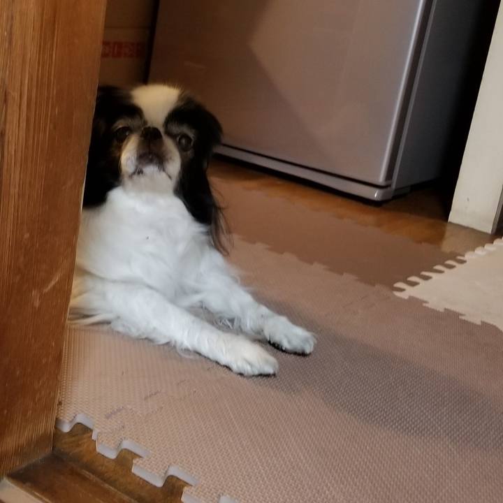 65fdc323 4051 4bd1 97ce 824313c578cf 1553688400532