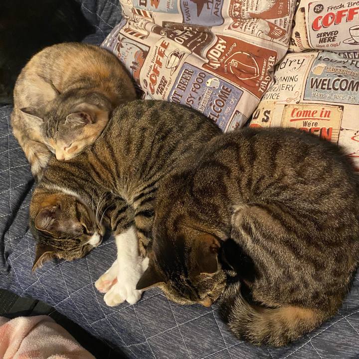 65fddaed 331e 4ddf a436 88c9f7d61a29 1586712388779