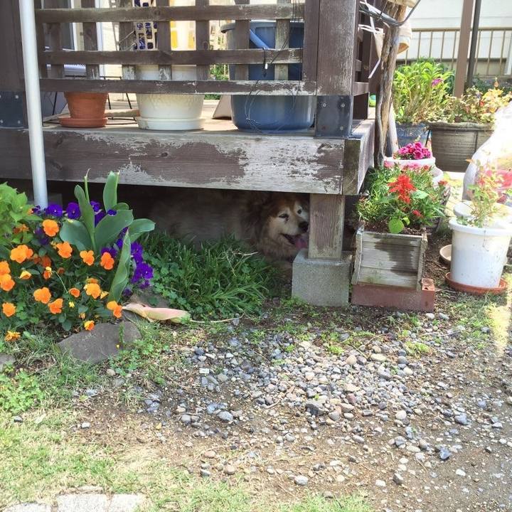 65fde67d b3c8 4c59 8c3e c07667dc2091 1610844063960