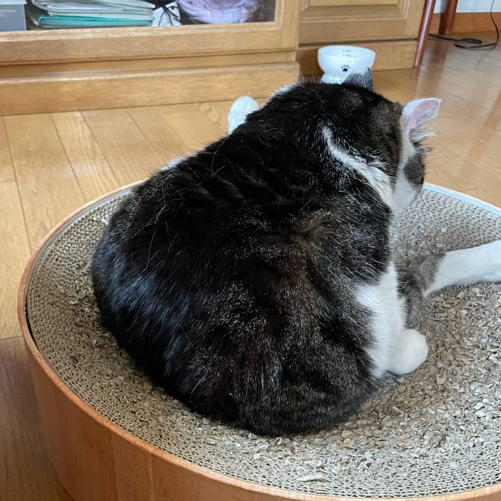 65fdec88 e6a3 456a 94e8 af0487332d01 1683191323505