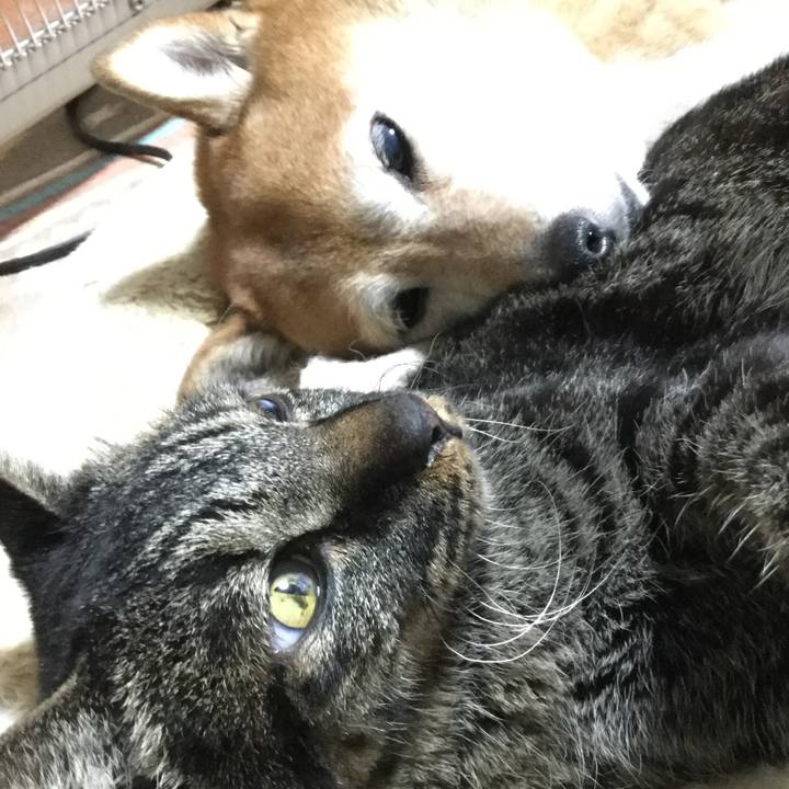 65fe6bf2 c89e 43f4 86a7 b74a10aeb62f 1639122599353