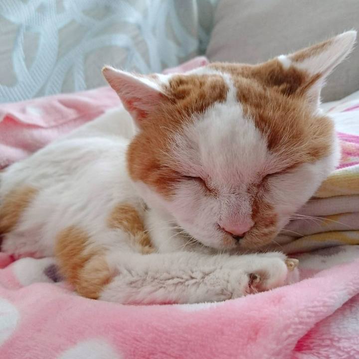 65fe8093 a9a4 496f bed0 71f3fa2d9732 1746629171933