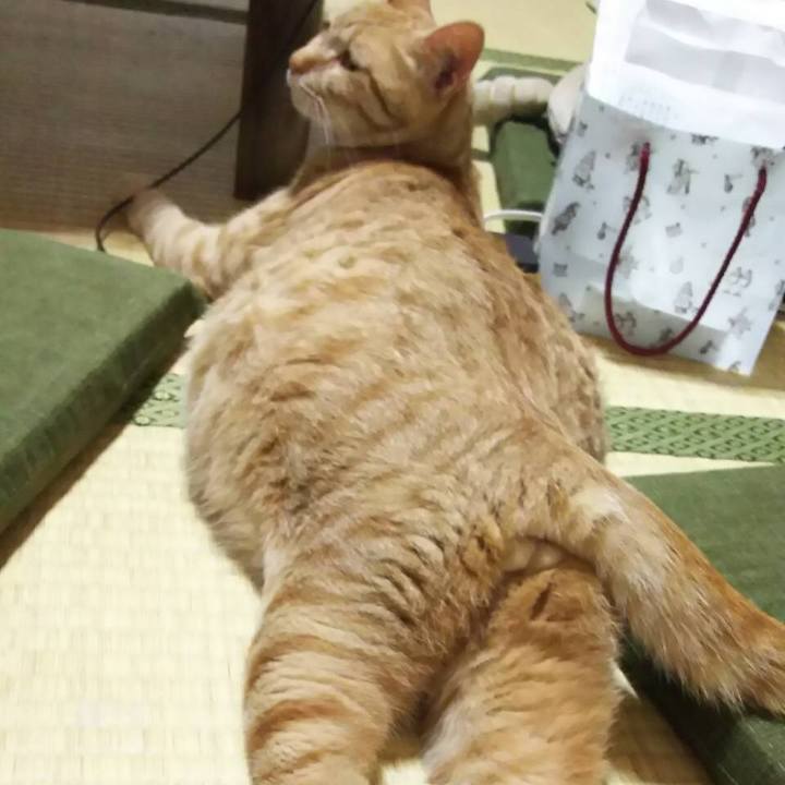 65feb523 e5d2 4980 b049 ac5a7a81aeab 1574864721226