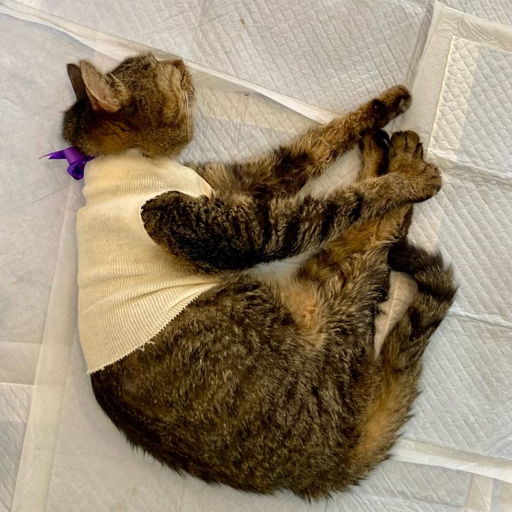 65ff8f7b daa9 4ed1 9156 c06cd755c593 1688797411219