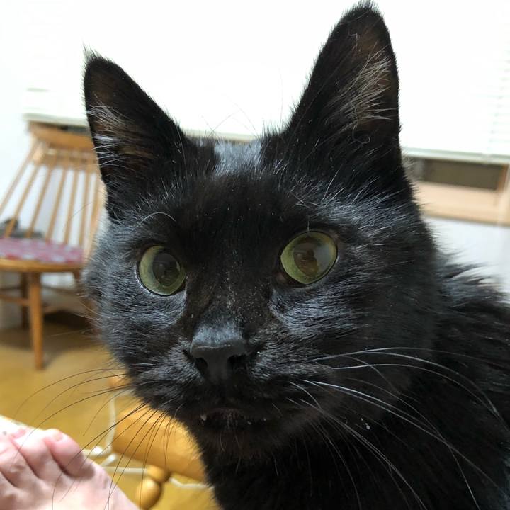 65ffa17d 5992 49b8 a476 b2bb333190eb 1609154593562