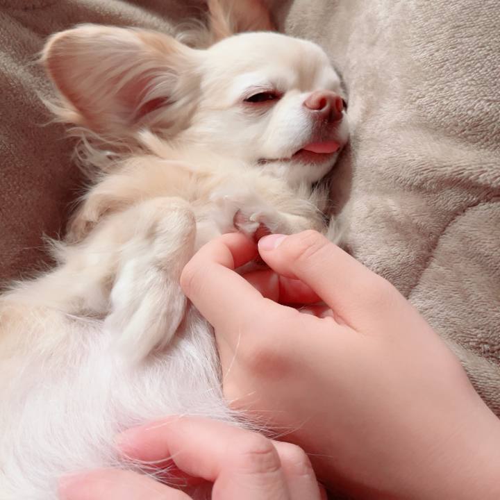 65ffda3f 356b 446f a2dd c9528c6e789d 1774614385649