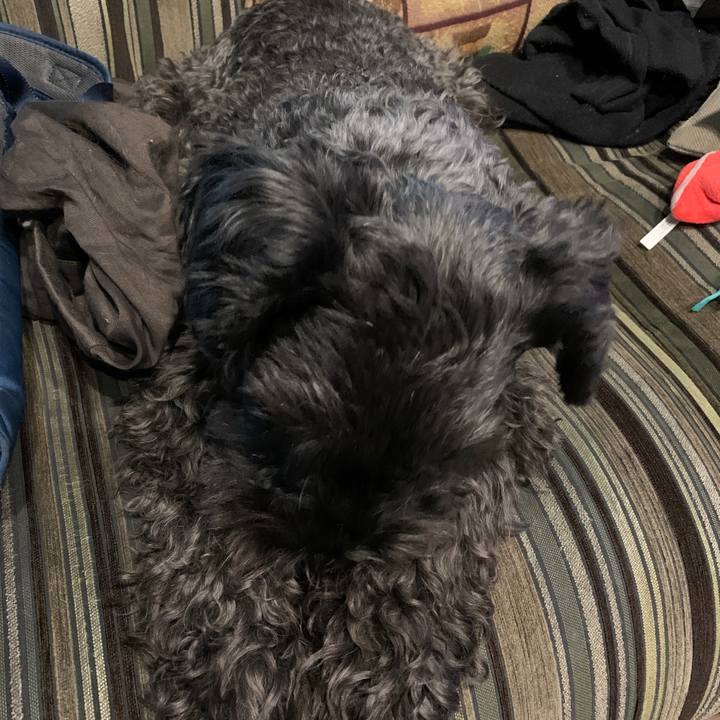 660010fc 9fa6 443d 8586 d837ea7207c1 1638755441421