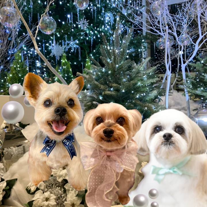 66002df4 12d9 4508 aa01 33b2a29cddae 1766576804994