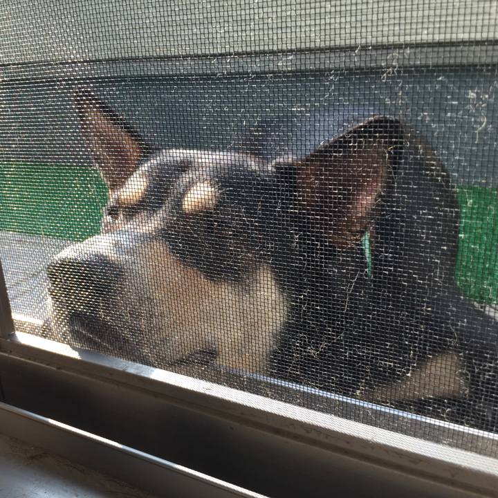 66006b56 173c 4b9d 8608 eb65bb140d81 1533947535625