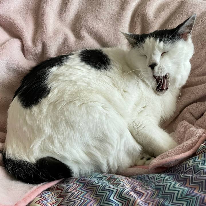 660082e2 19db 42b5 bcf0 96f9e23b9533 1609640387638