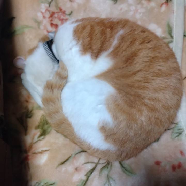 66009217 92e3 4192 8fb9 7e4665bfe3e1 1773098291783