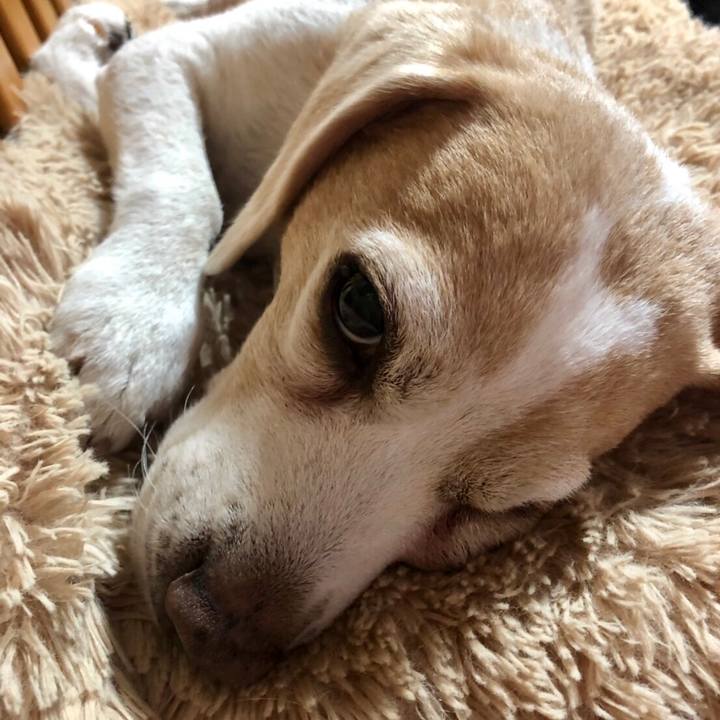 6600bbc1 a287 4101 b556 928fc6e75d7a 1561451929815