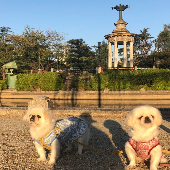 6600c66c 6461 4449 9786 c7320e3daa6e 1540438970211