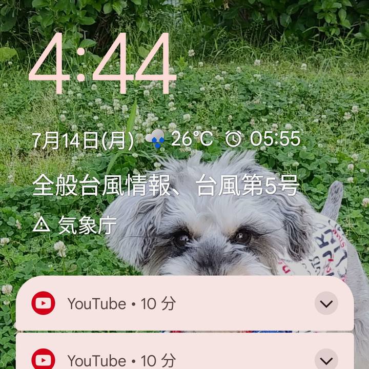 6600cd9f 263e 44e0 b286 940d51a2fbc7 1752436230194