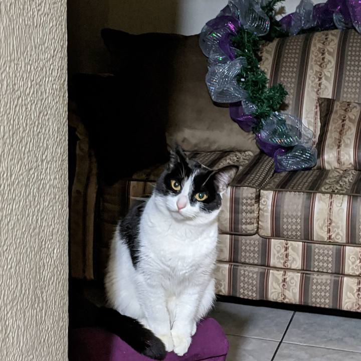 66010731 ae05 4f7c 891c b05f229ebd29 1576869494018