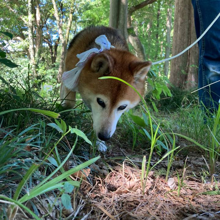 6601253b 4bfb 414f 9007 64b7fe934dd6 1752973781777