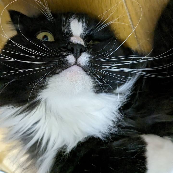 66013de3 66ba 4260 9df8 a34afa32a839 1706534255305