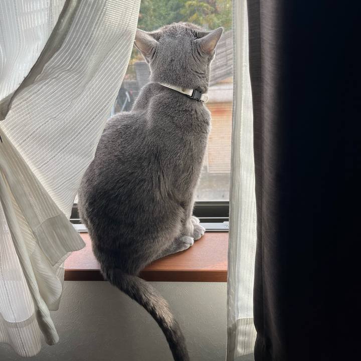 66013ea2 12e6 460c afca 3c5237d78569 1699060376353