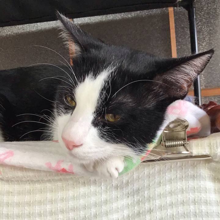 660148ff 2aee 4c99 a0bc 116b0d97872f 1641774631646