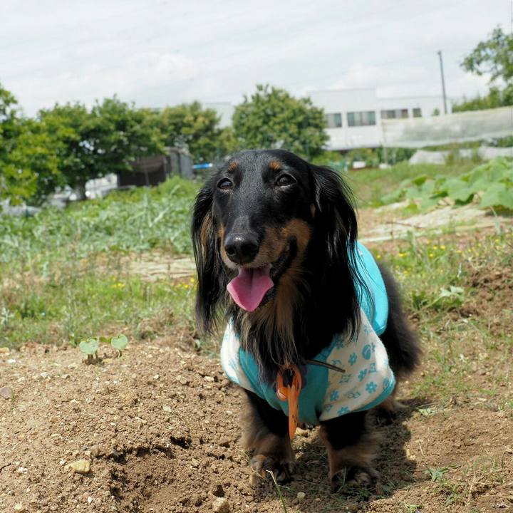 660151c6 1fb3 4d3b 97bd ac71fb38d9f6 1560773185470