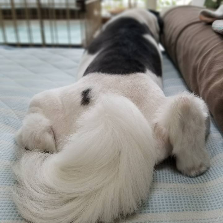 66016d45 978d 41f6 936d 5a3213ccd48d 1562063954265