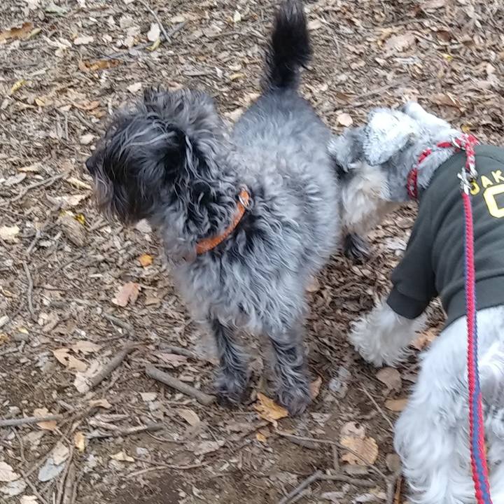 6601888d 120f 4adc a858 eaa5e1e75022 1577007155097