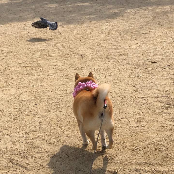 660188e3 84a6 49b0 bf84 89b4a0038c63 1550317202093