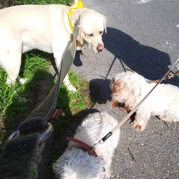 66019d03 6240 4822 8e52 adf9d09f1f15 1541642401830