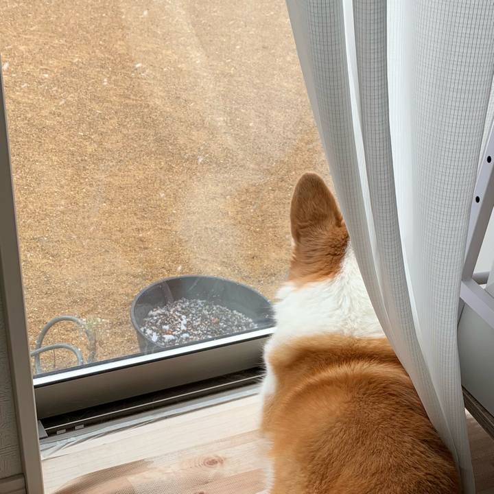 6601cf2e 829b 4a9f 8064 4854d456b12d 1705370459469