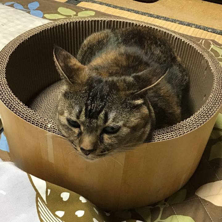 6601d578 94e7 49ee 8577 af80d38b8442 1734079978483