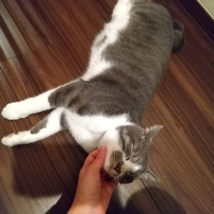 6601fa92 3ed6 4d33 bcfa 1e8c6618543c 1602941206082