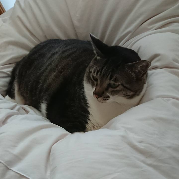 6602405e eb60 4341 bdac 5879fe5291d0 1552126308506