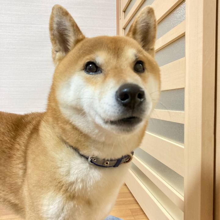 660255de bf67 4b1d 9f67 26e9f9027c81 1676191453264