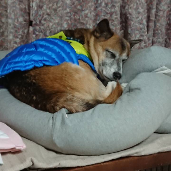 6602585b cc93 43ce a4df 4cb31c587d05 1576157427239