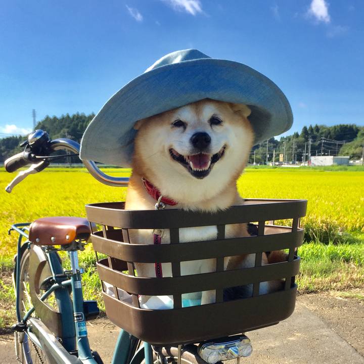 66027fc6 6f8a 458c 845f 7aae8a9d52ba 1629441358353