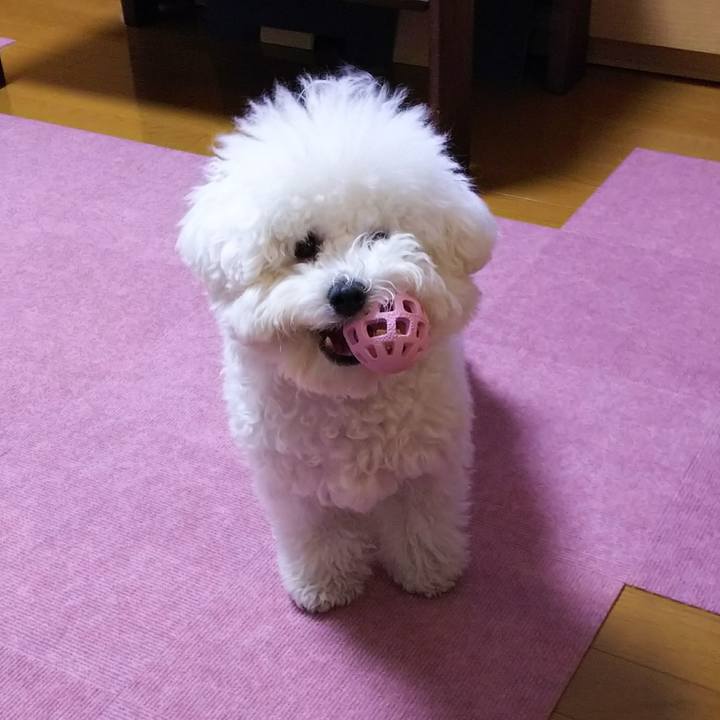 6602a623 91ae 40b6 a3f3 ebeab564c42b 1509967993474