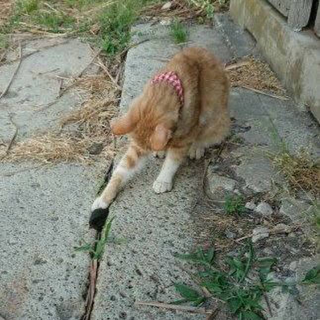 6602d839 b866 4377 b908 26076143ed20 1559595924610