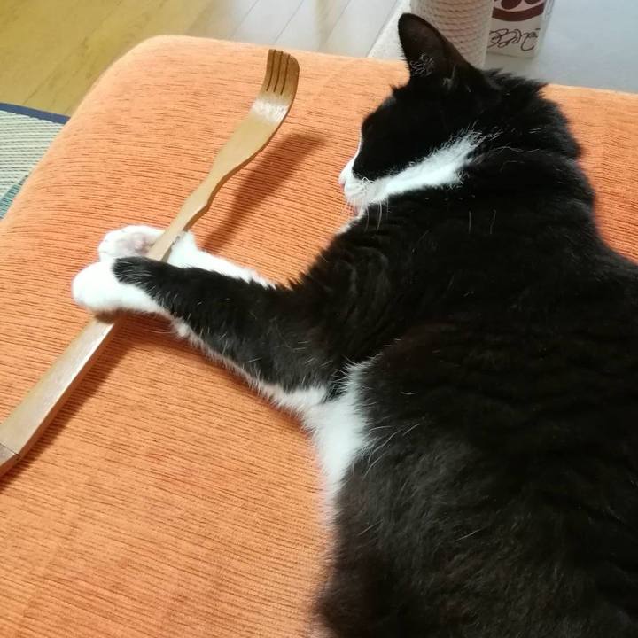 6602ff30 07c7 4ceb b256 df27ab9b58a4 1594094256890