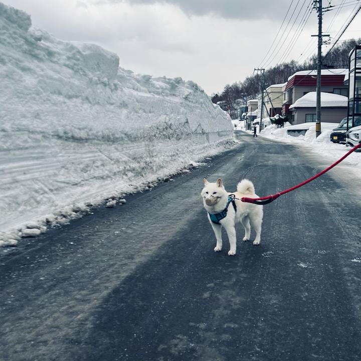 6603141d 584e 4b7b 838f f1cccd517375 1740527591381