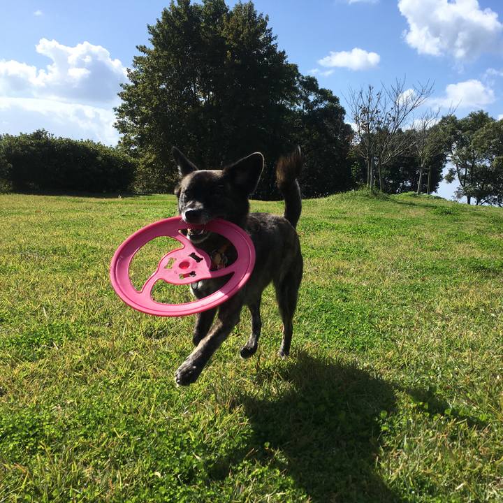 66031494 8baf 43dc 8ed0 cd0563945508 1509625397928