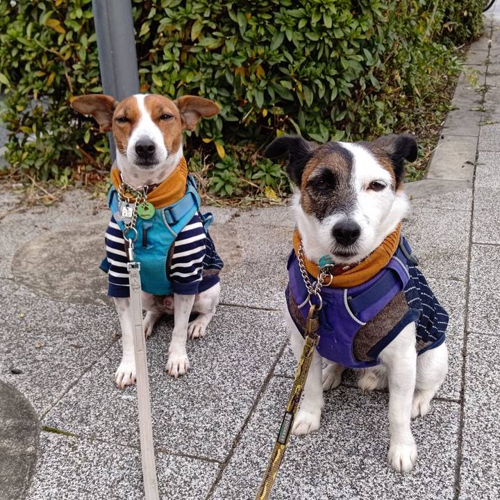 66032086 54a2 4518 bff7 6d996ab8ad2b 1637100562902