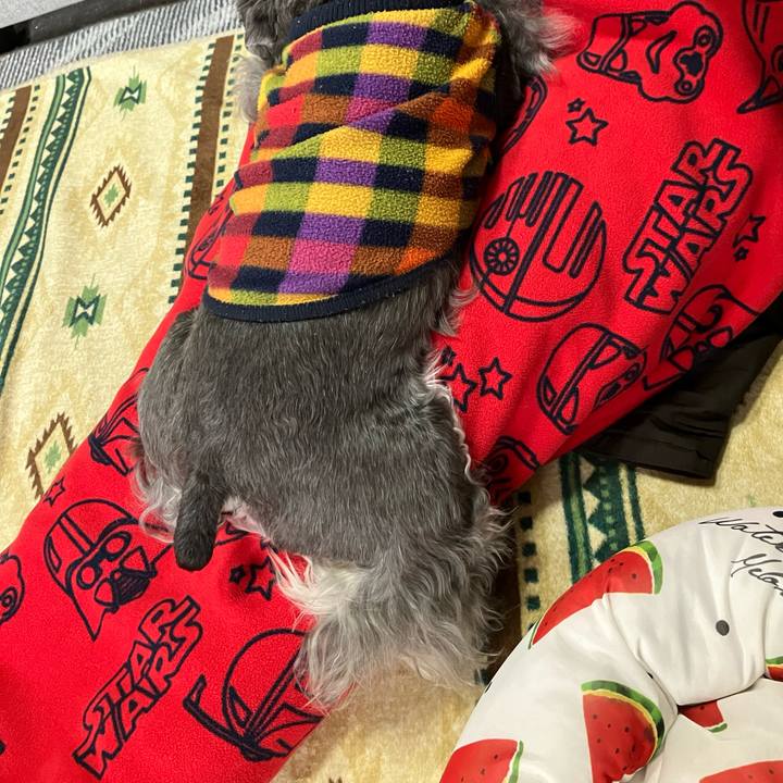 660349a3 0b0c 4ce7 a2ca defd217adfa4 1732431793579