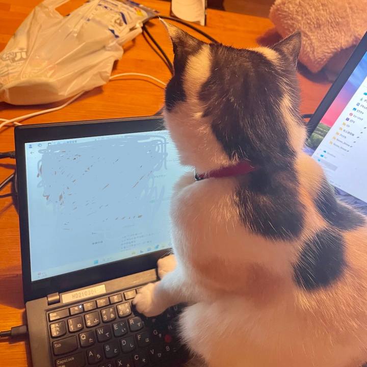 660360e8 2bf5 4c06 8b46 4d61428cf3f6 1711497676924