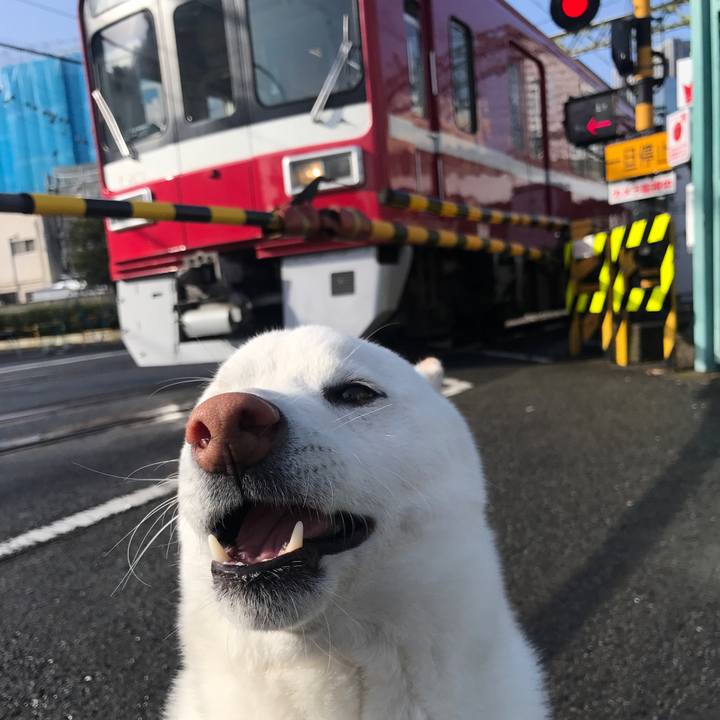 66036f76 a865 42e3 a109 16e4e0b18cc0 1519860955797