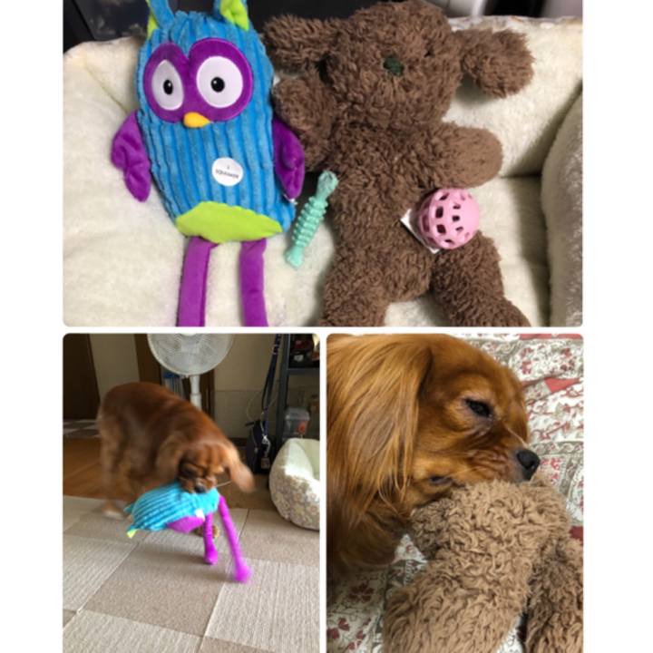 66039b77 db58 464b 9014 a28577200f12 1540824641815