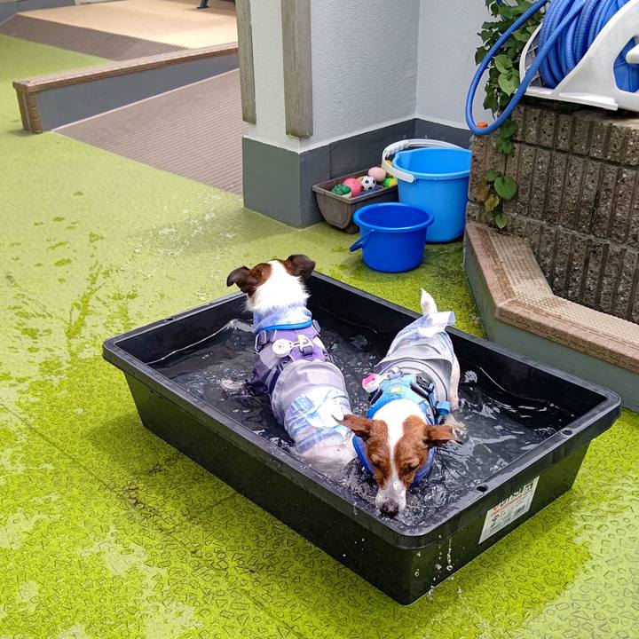 6603bb46 269c 45bd adc7 1105ce7f94c7 1658304998099