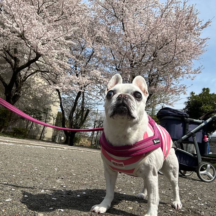 6603dec9 dffd 484d 9926 98fe2ff0b117 1744195892394