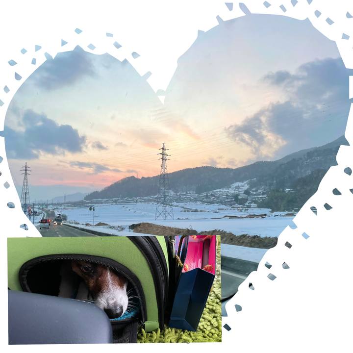 6603e750 921f 4de5 8d10 66024790a2c0 1643288749669