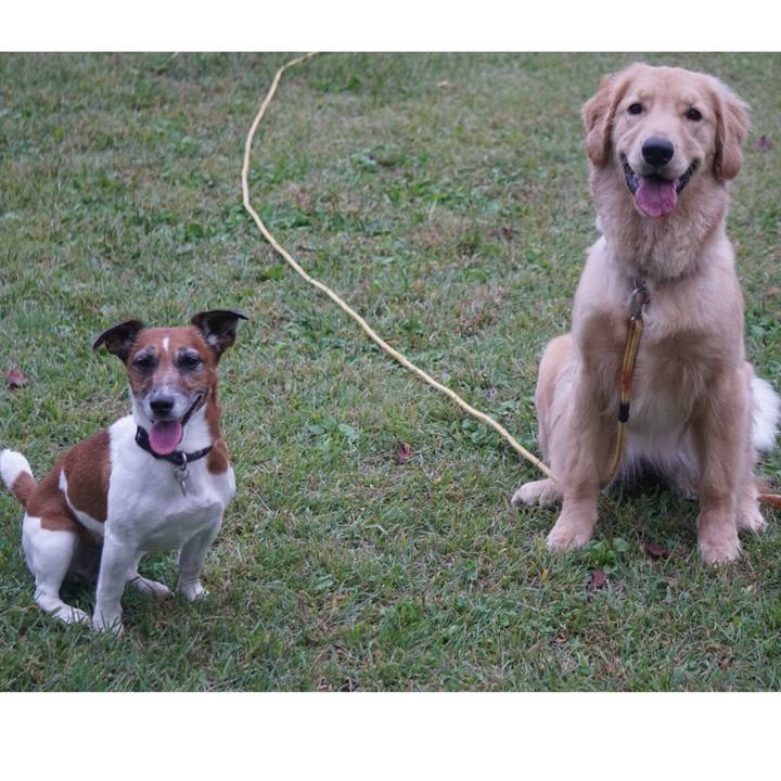 6603e7a7 26ac 48d0 ae3f 46f41a326876 1602716808438